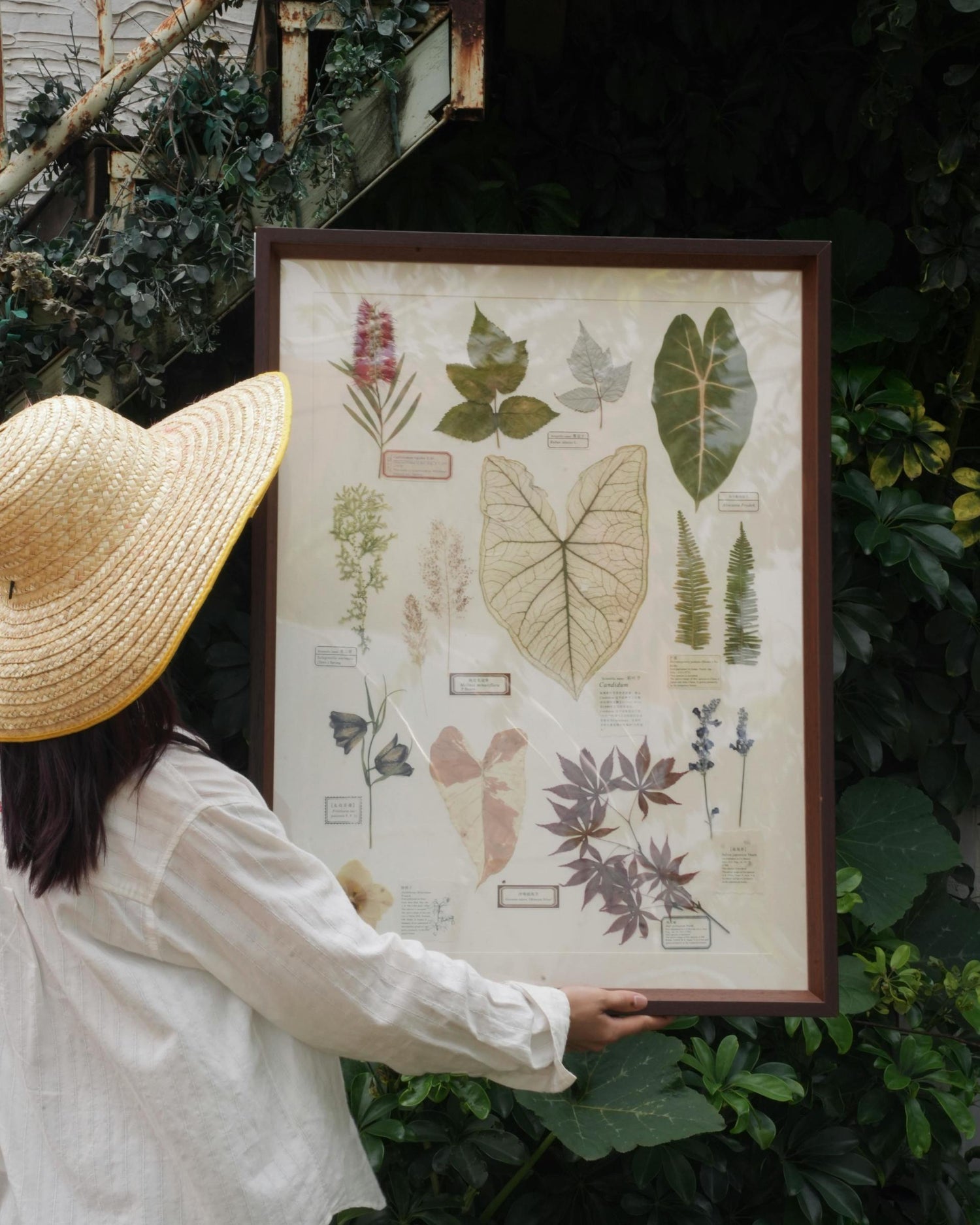 Photo of a woman holding a frame with botanical art - Cover for the "The Botanist's Nook" collection