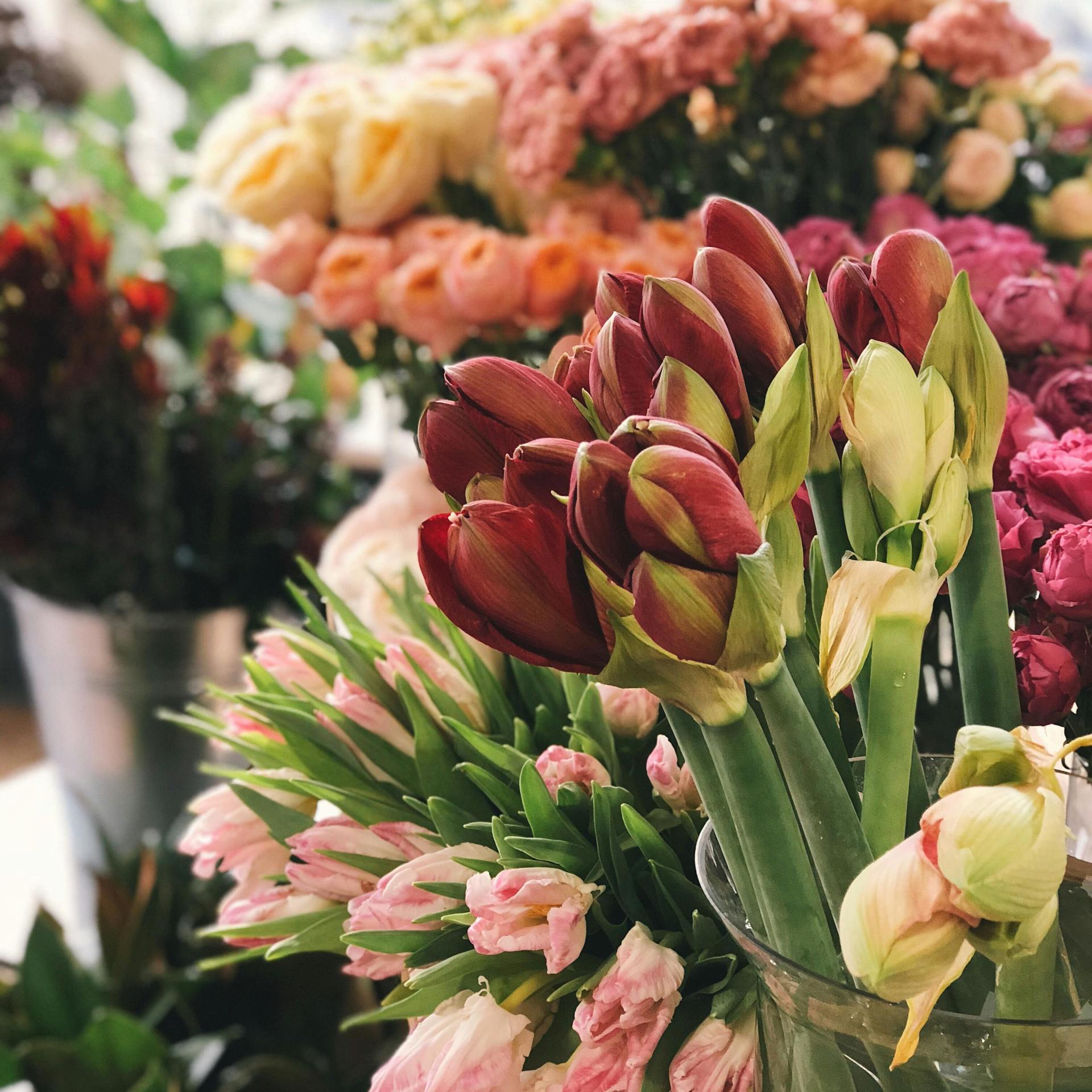 Photo showing a variety of flowers