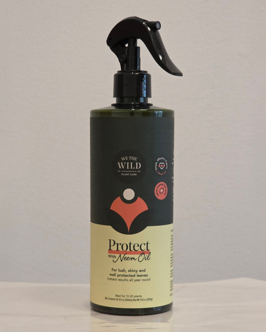 Photo of the neem oil container